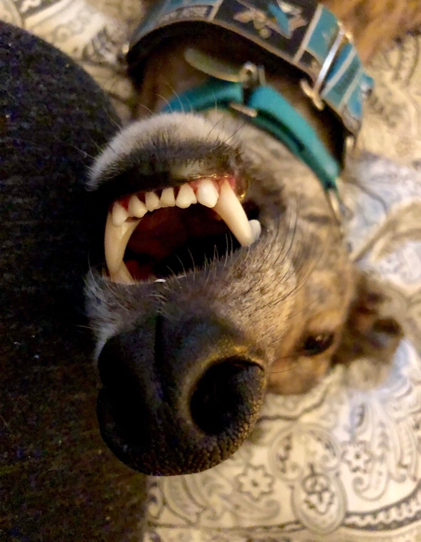 BD49EAB9-C7B8-4CF4-BC8F-95520A973219